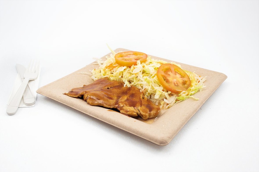 (LI1003) PLATO CUADRADO 25 X 25 - X 20 UND